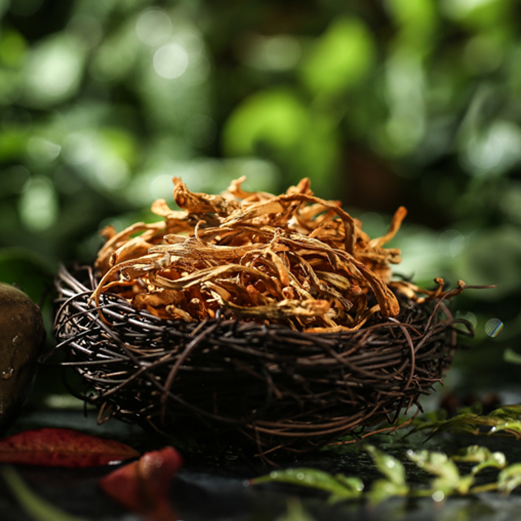 虫草花|宁夏虫草花|东北虫草花|内蒙虫30花 健康食材,大然自的